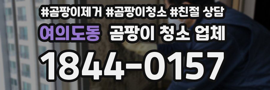 여의도동 곰팡이 청소 업체