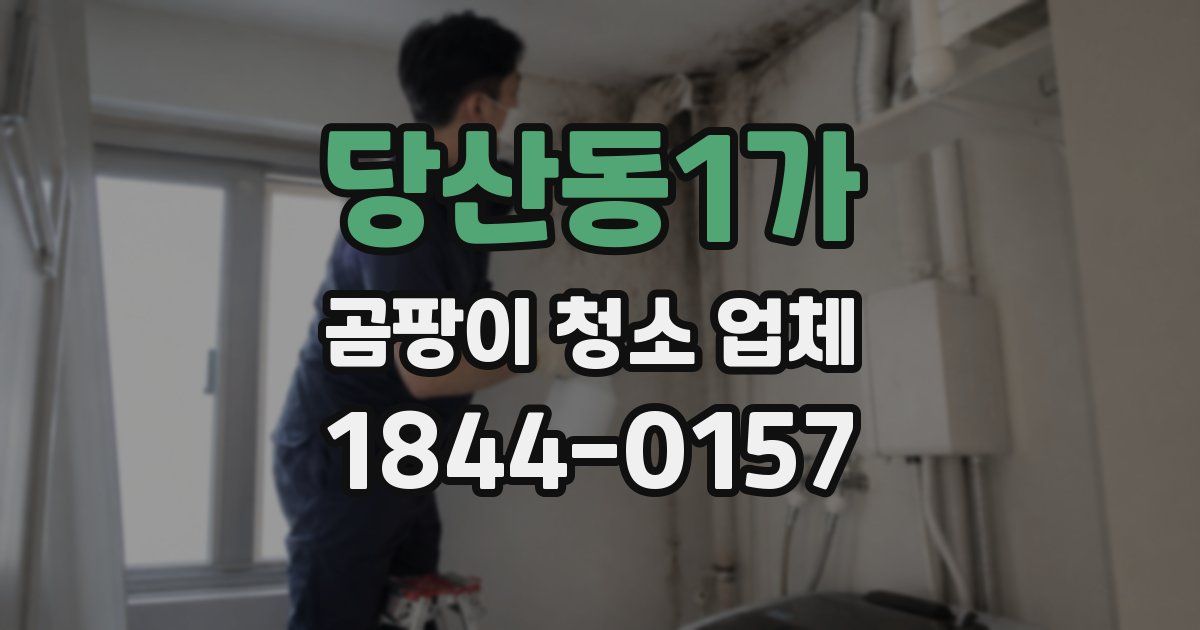 당산동1가 곰팡이 청소 업체