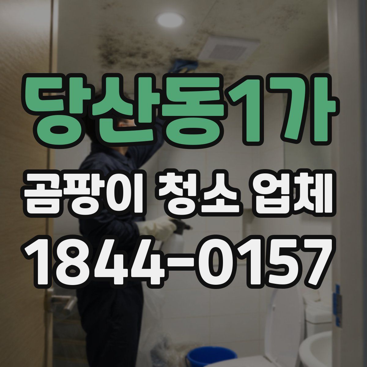 당산동1가 곰팡이 청소 업체
