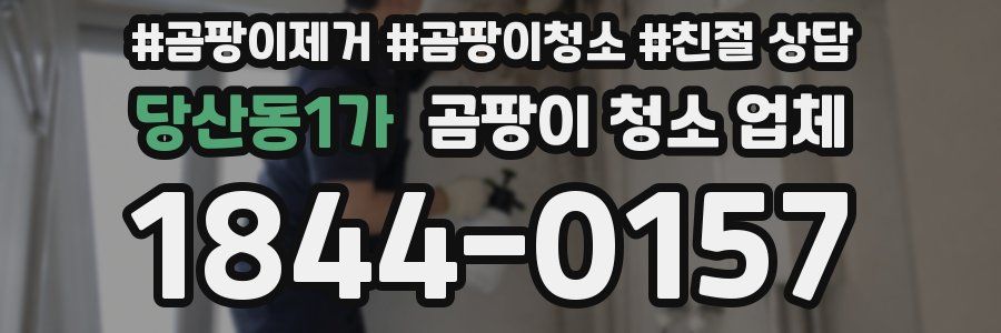 당산동1가 곰팡이 청소 업체