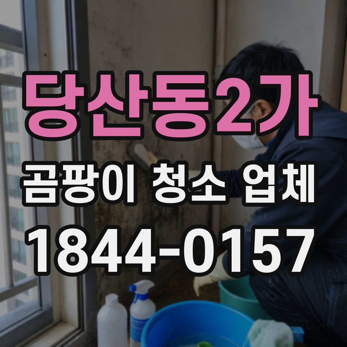 당산동2가 곰팡이 청소 업체
