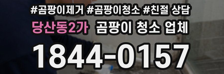 당산동2가 곰팡이 청소 업체