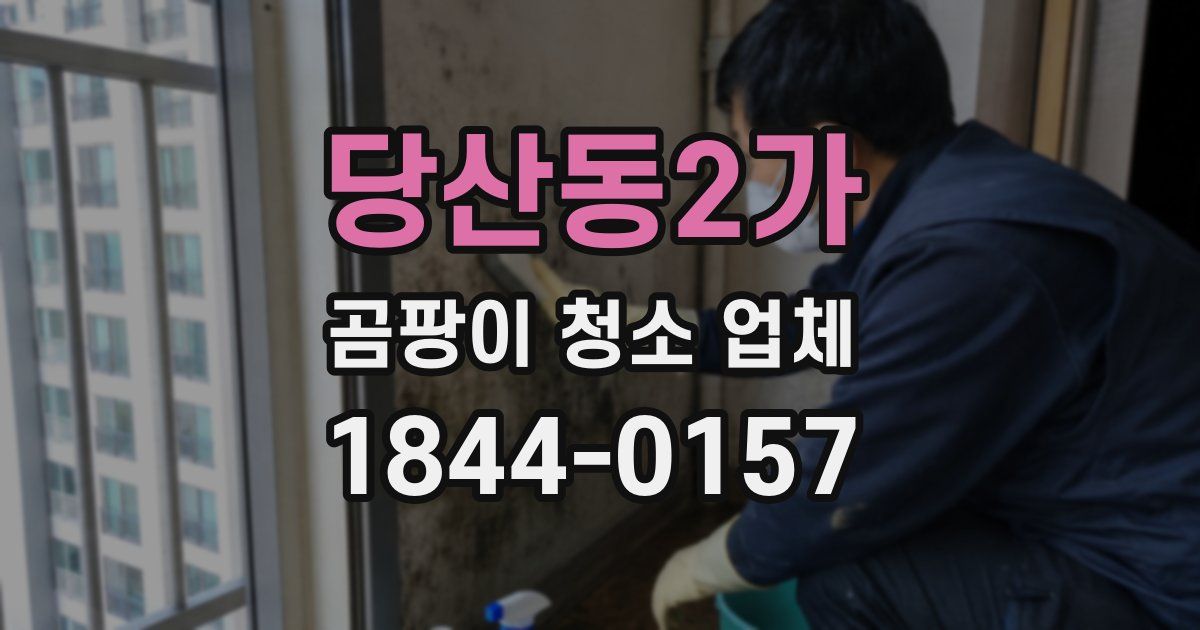 당산동2가 곰팡이 청소 업체