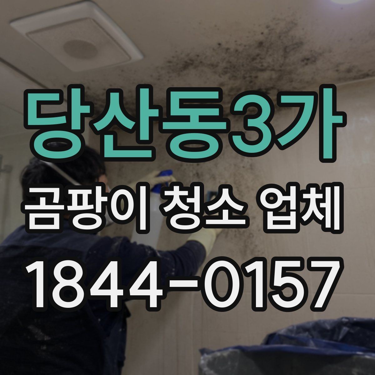 당산동3가 곰팡이 청소 업체 작업 후 냄새 관리 방법