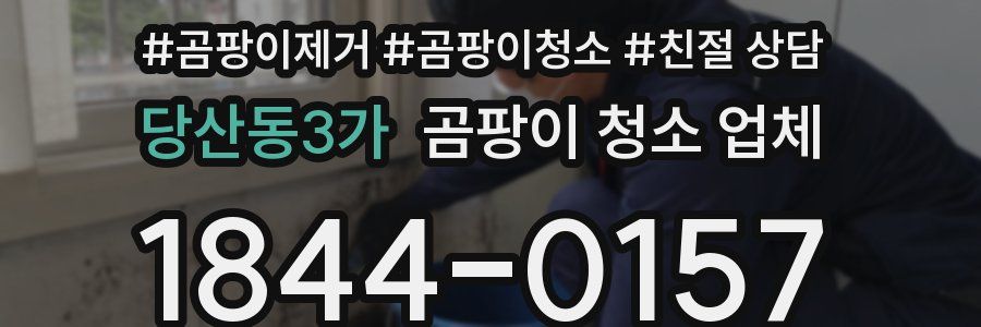 당산동3가 곰팡이 청소 업체