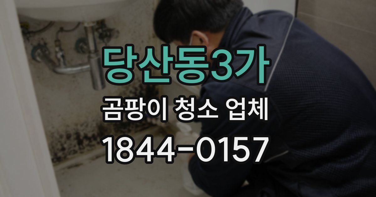 당산동3가 곰팡이 청소 업체