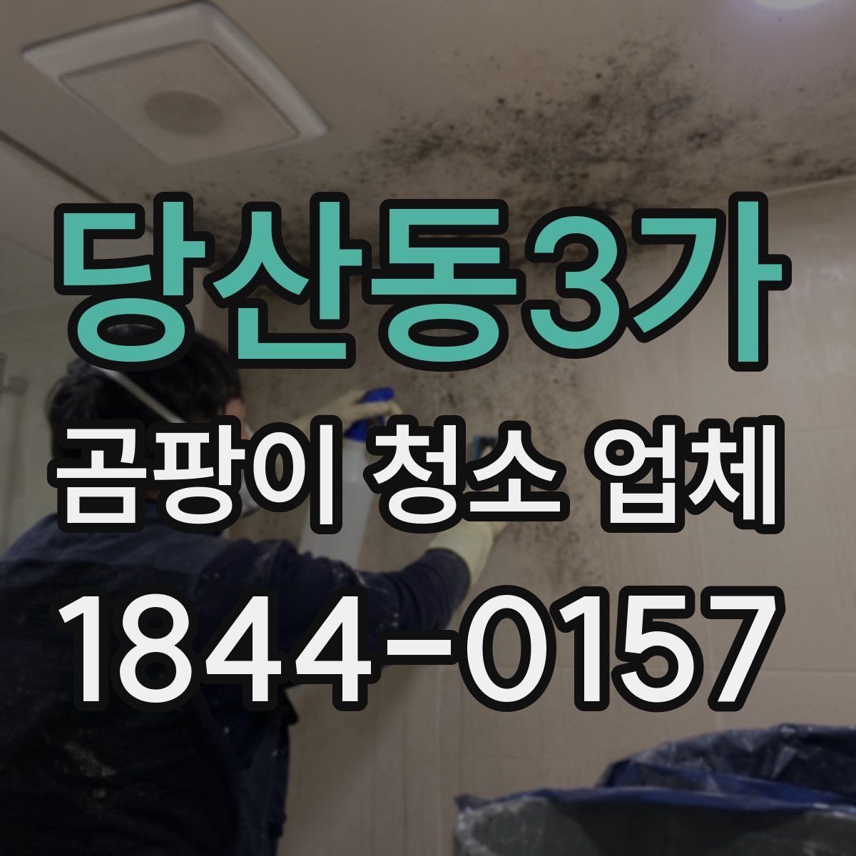 당산동3가 곰팡이 청소 업체