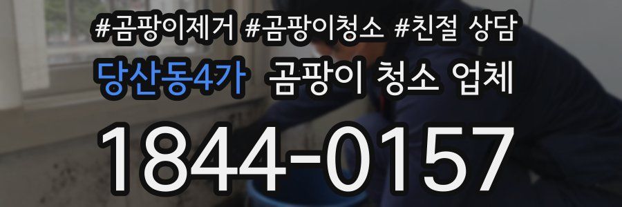 당산동4가 곰팡이 청소 업체