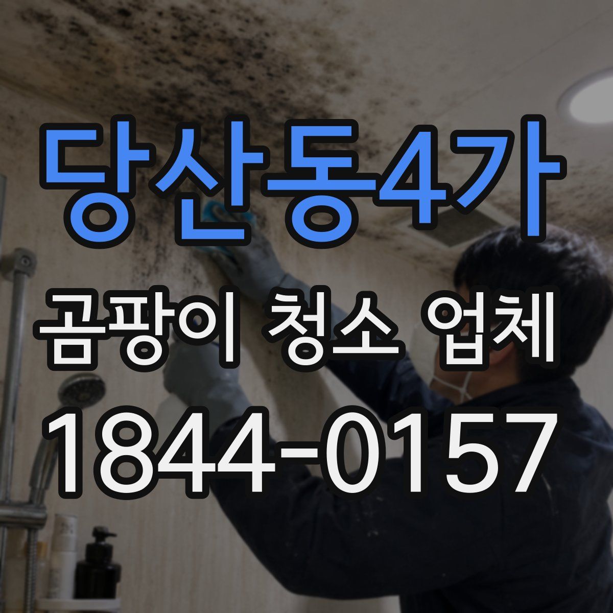 당산동4가 곰팡이 청소 업체