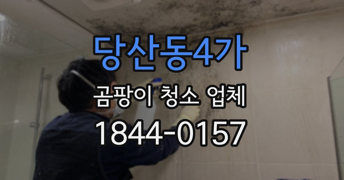 당산동4가 곰팡이 청소 업체