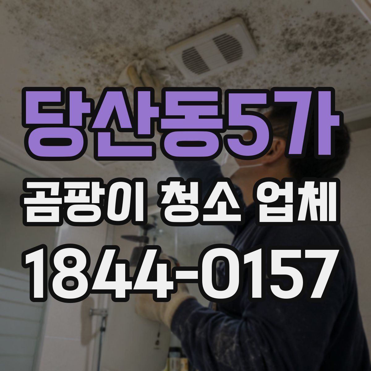 당산동5가 곰팡이 청소 업체