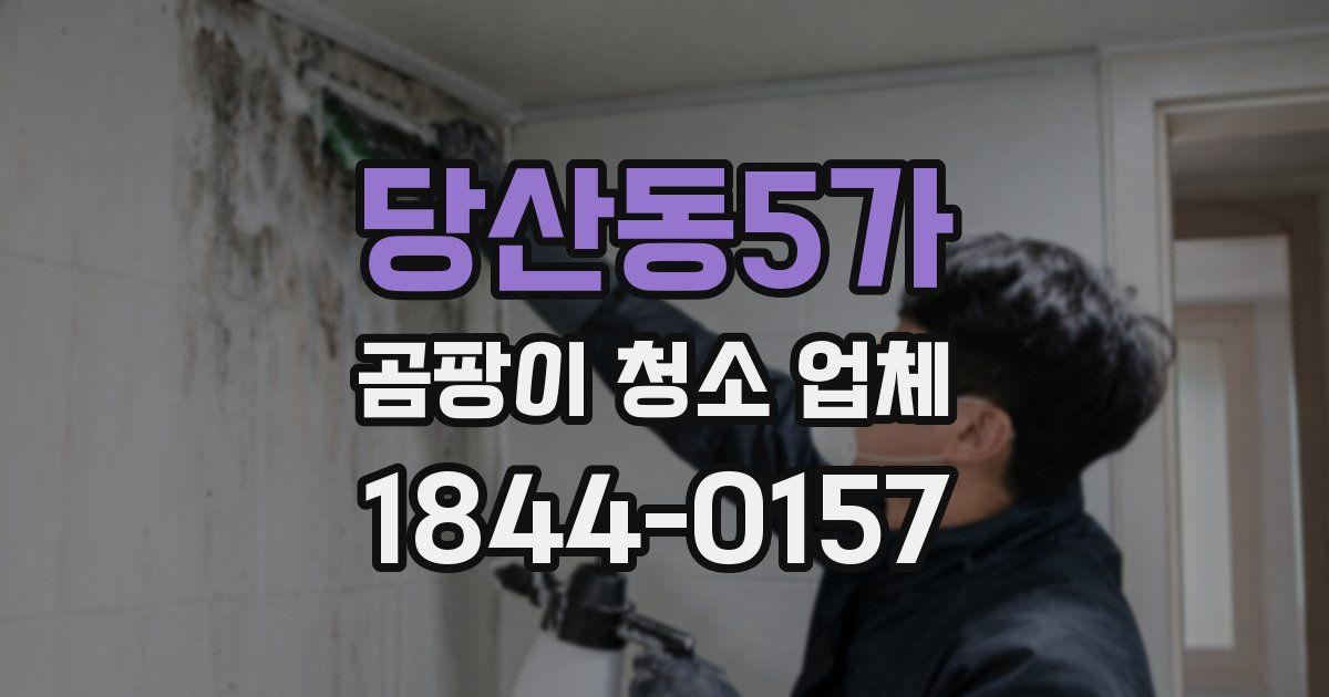 당산동5가 곰팡이 청소 업체