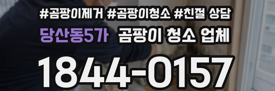 당산동5가 곰팡이 청소 업체