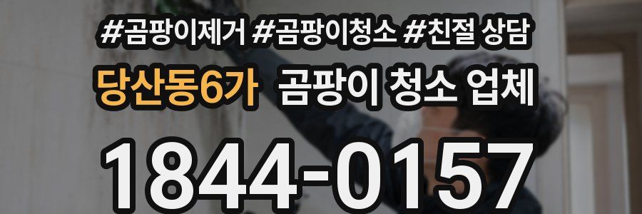 당산동6가 곰팡이 청소 업체