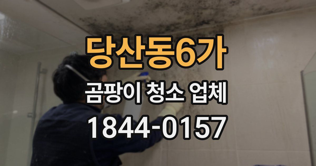 당산동6가 곰팡이 청소 업체