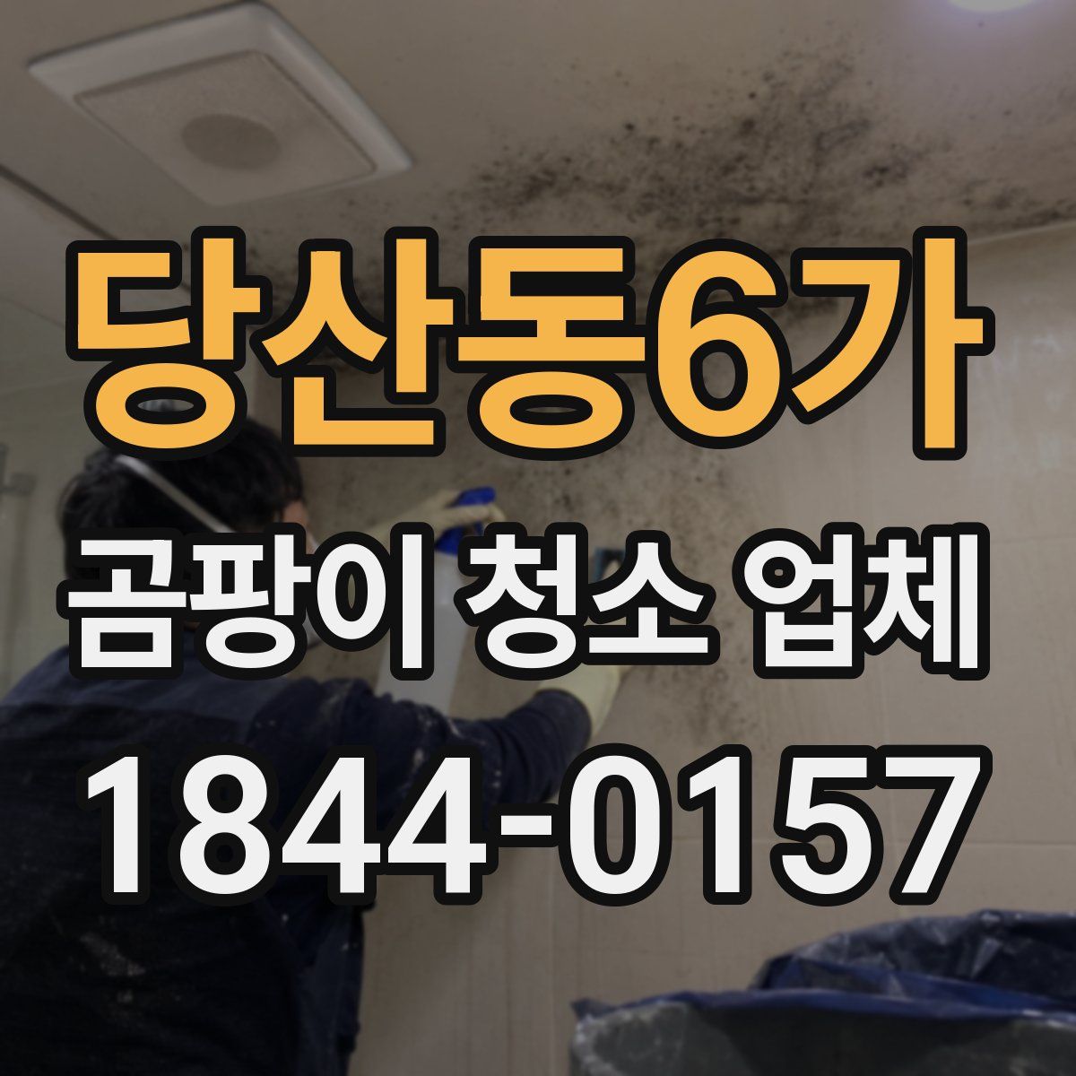 당산동6가 곰팡이 청소 업체