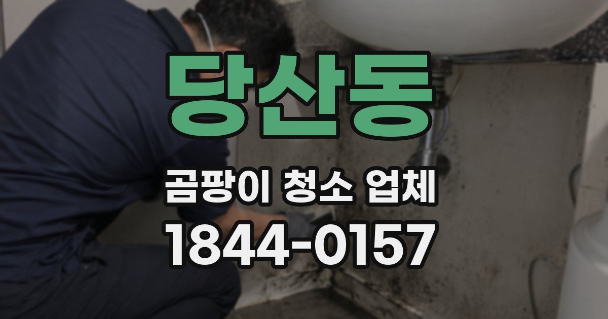 당산동 곰팡이 청소 업체