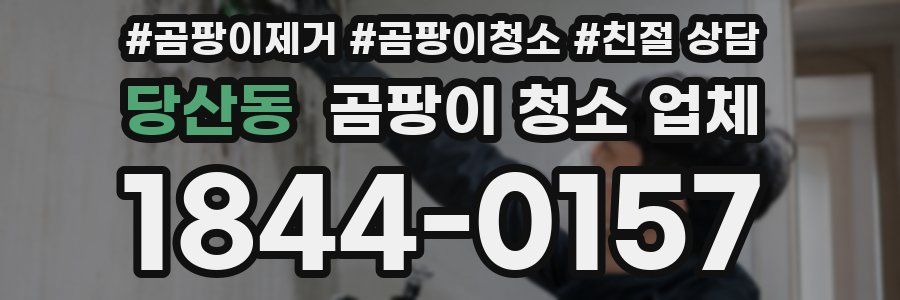 당산동 곰팡이 청소 업체