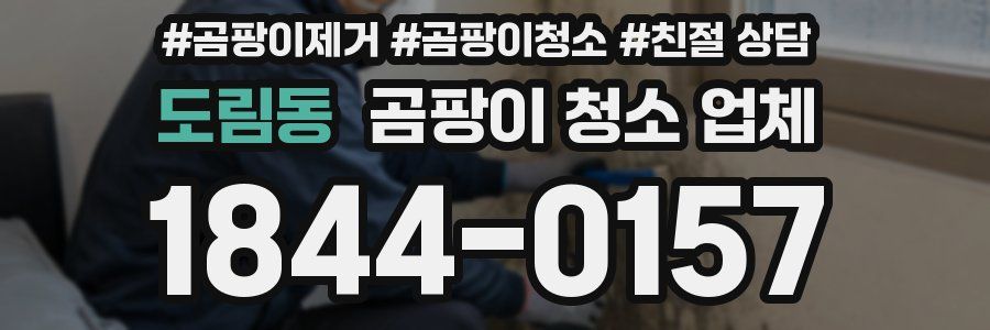 도림동 곰팡이 청소 업체