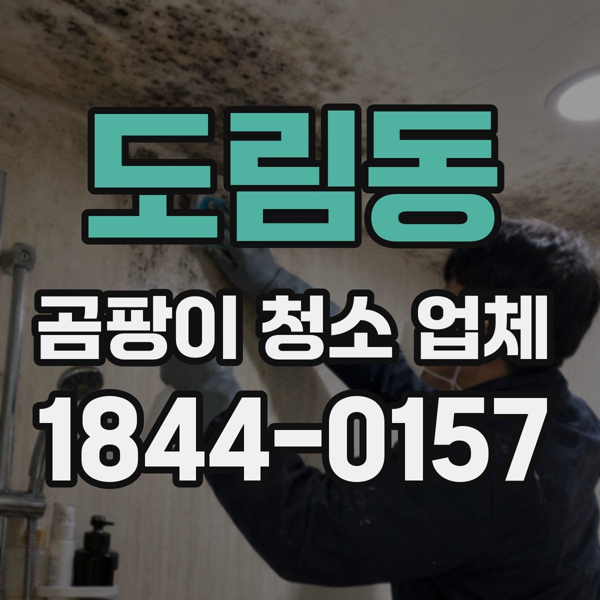 도림동 곰팡이 청소 업체