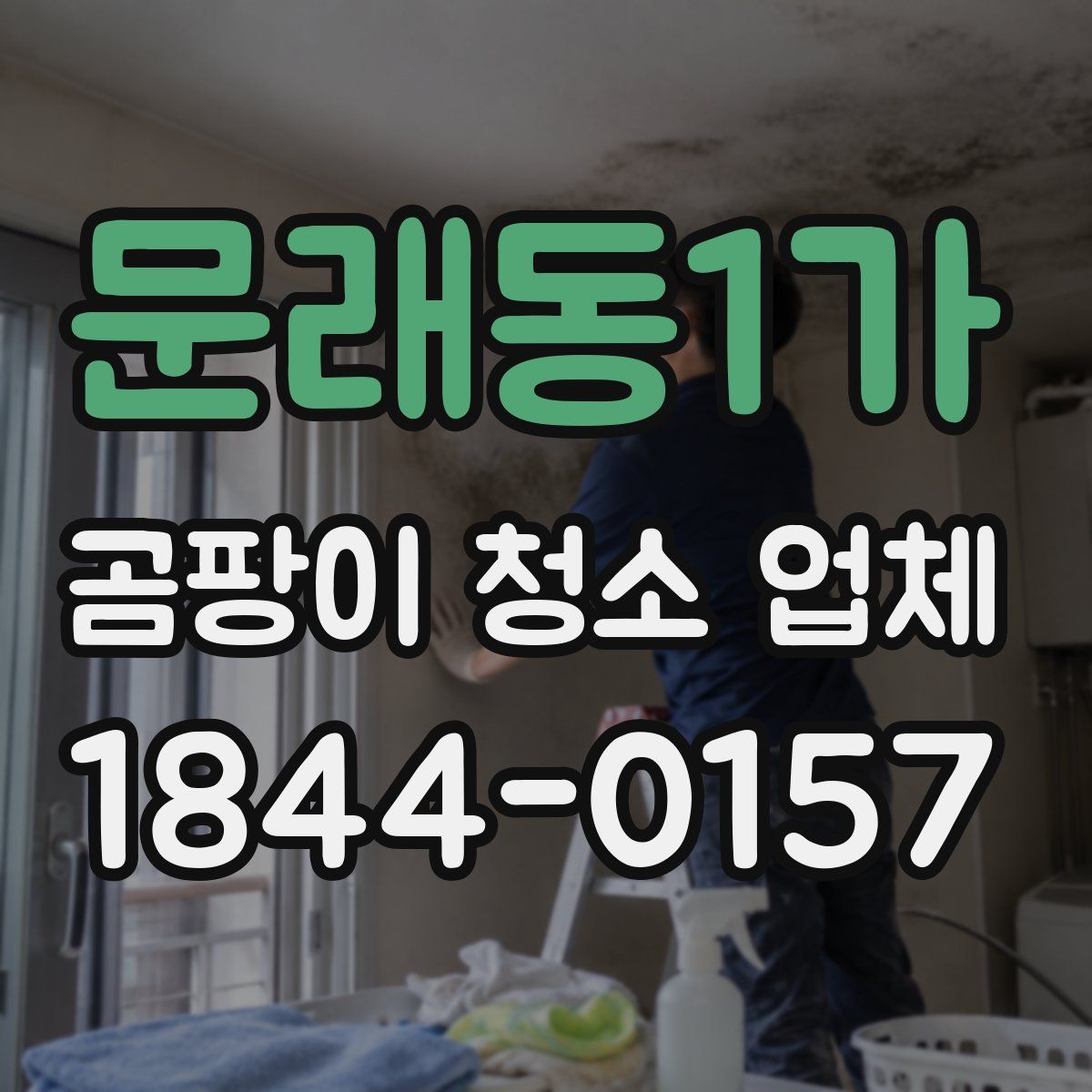 문래동1가 곰팡이 청소 업체