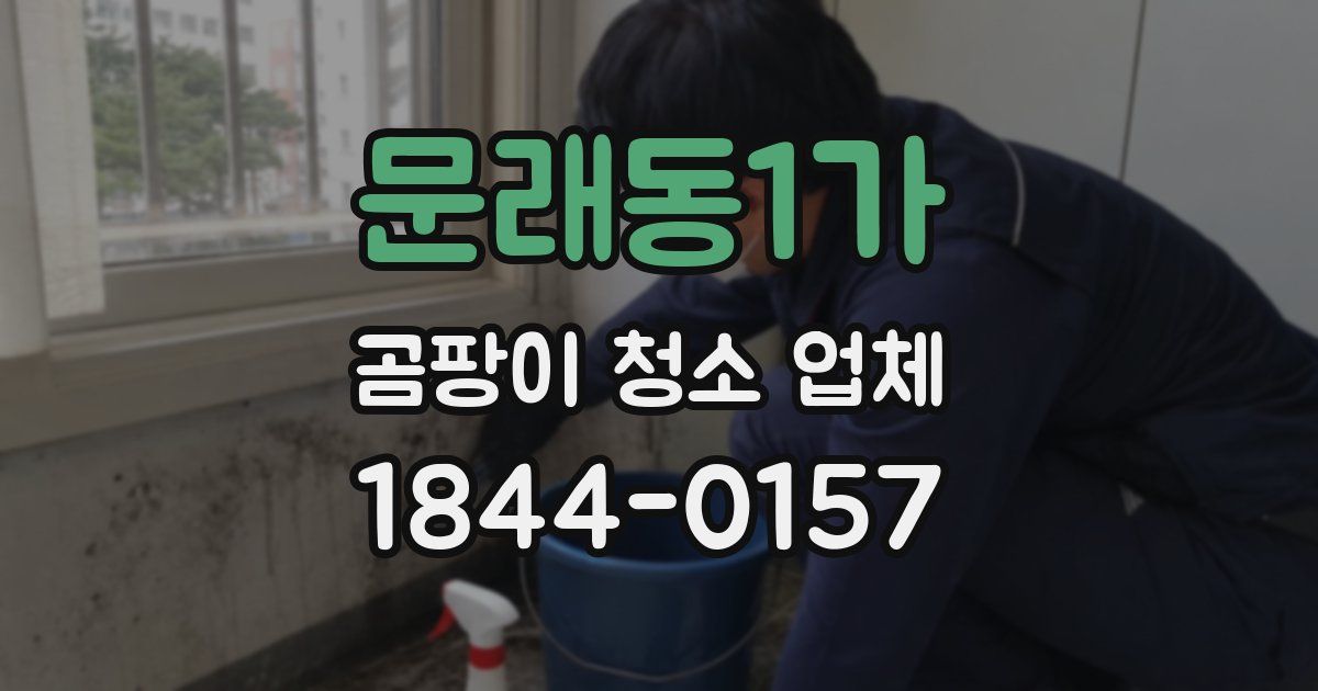문래동1가 곰팡이 청소 업체