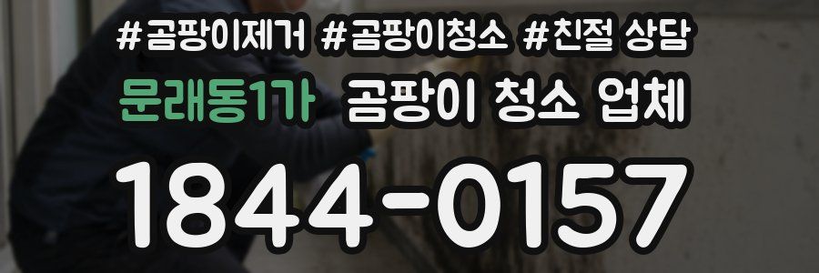 문래동1가 곰팡이 청소 업체