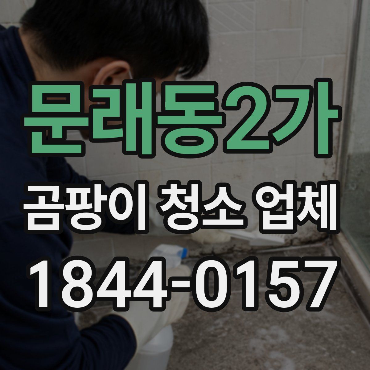 문래동2가 곰팡이 청소 업체