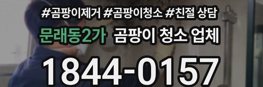 문래동2가 곰팡이 청소 업체