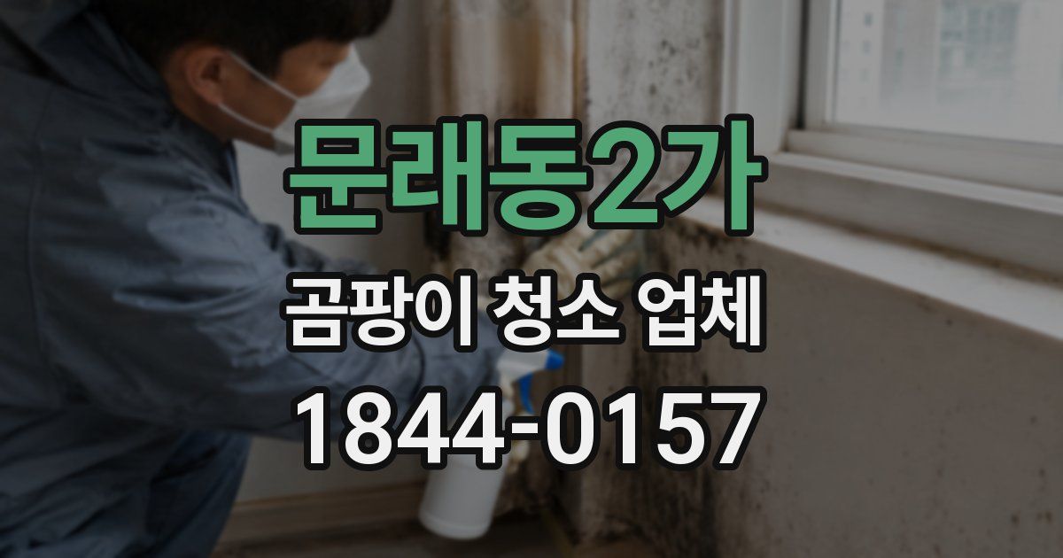 문래동2가 곰팡이 청소 업체