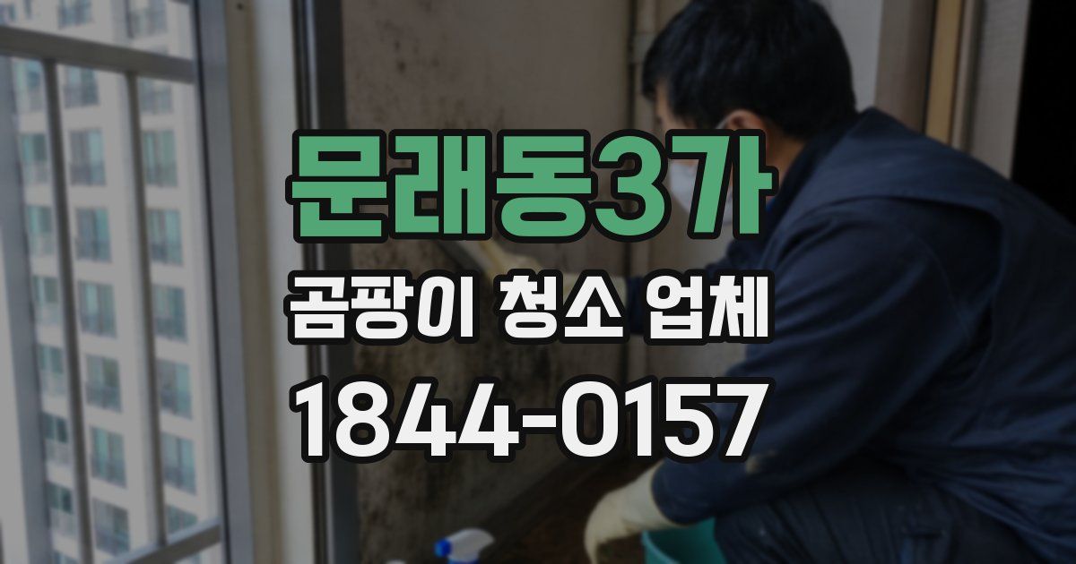 문래동3가 곰팡이 청소 업체