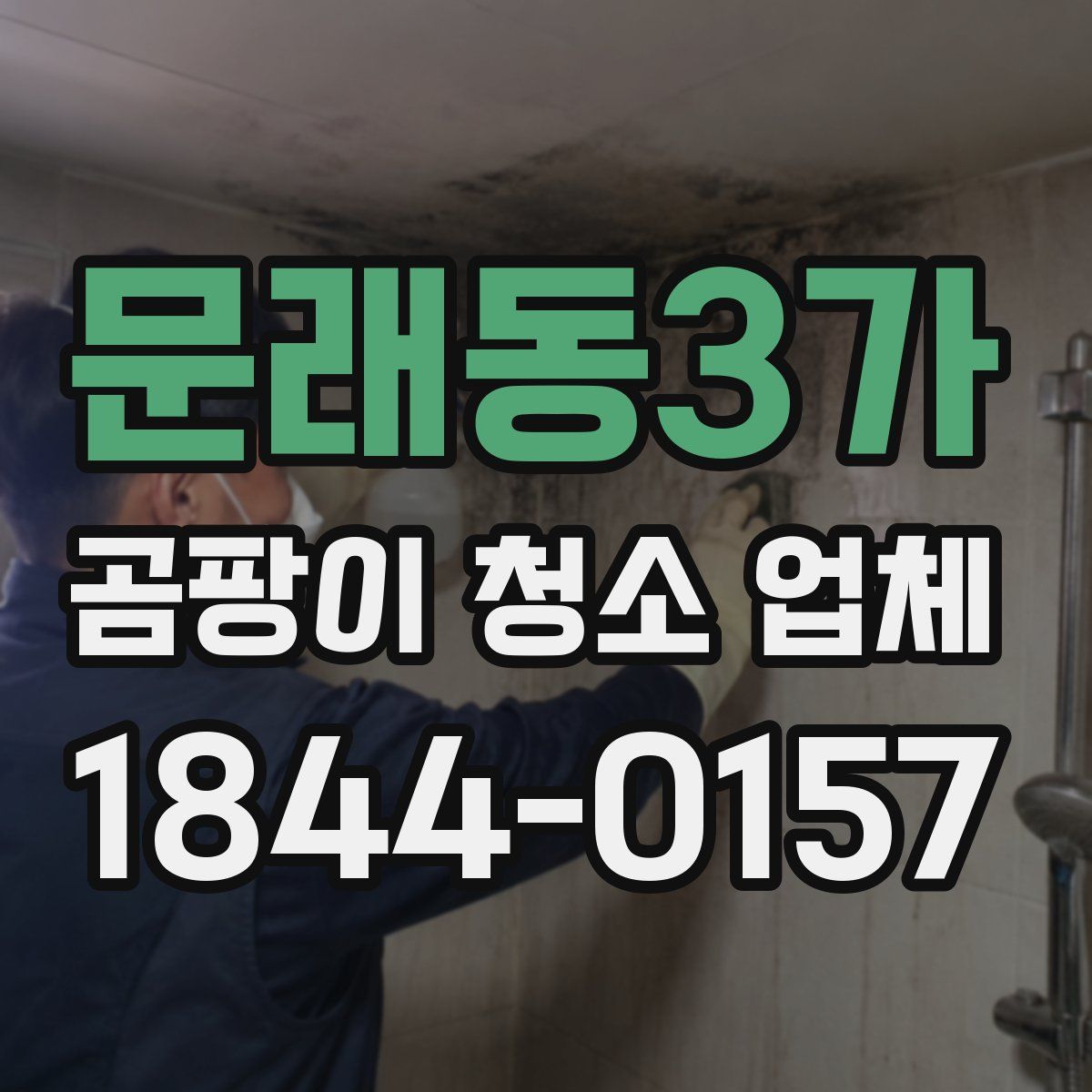 문래동3가 곰팡이 청소 업체