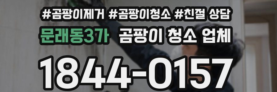 문래동3가 곰팡이 청소 업체