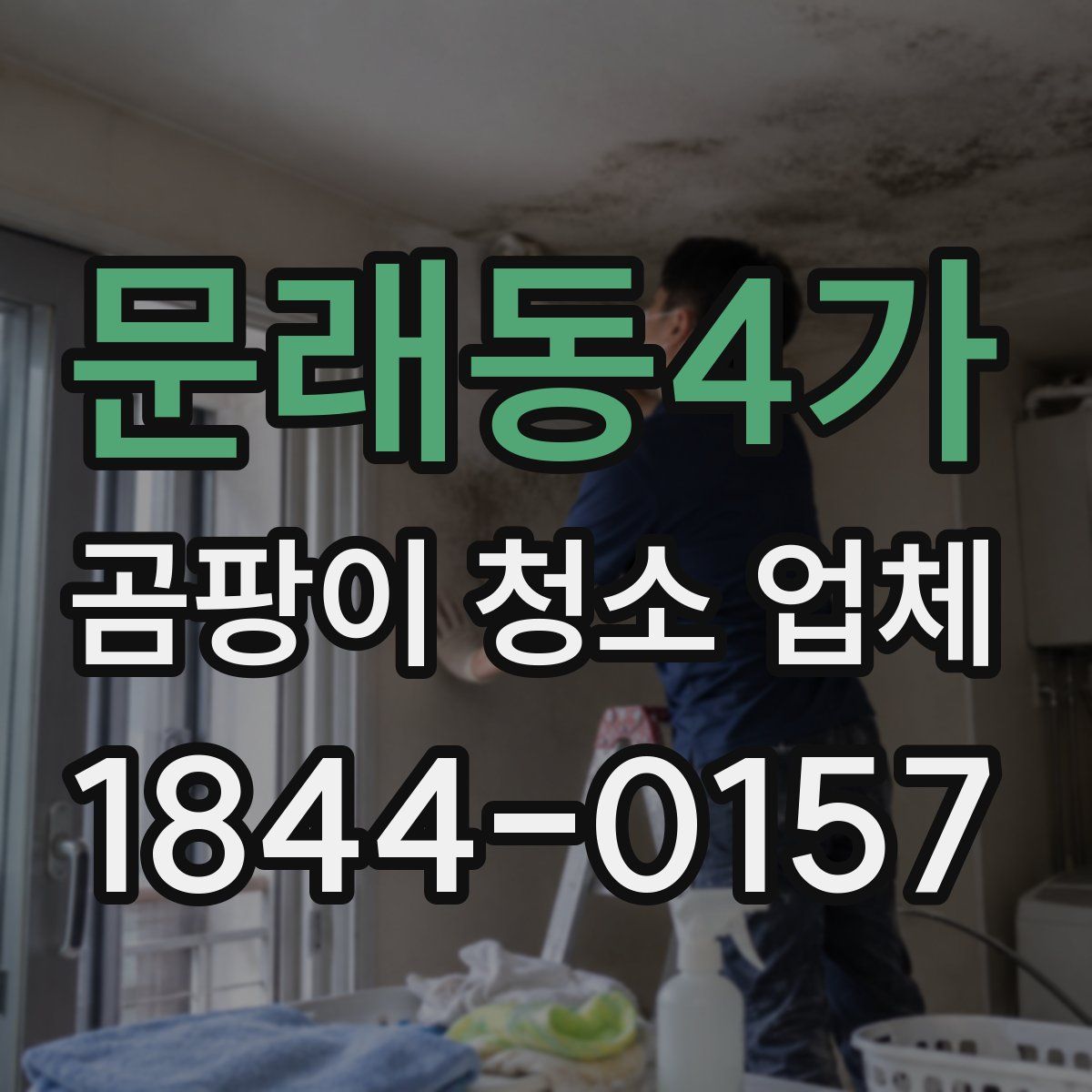 문래동4가 곰팡이 청소 업체