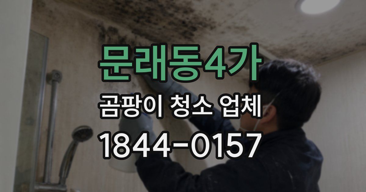문래동4가 곰팡이 청소 업체