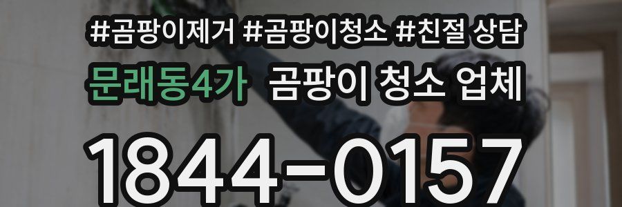 문래동4가 곰팡이 청소 업체