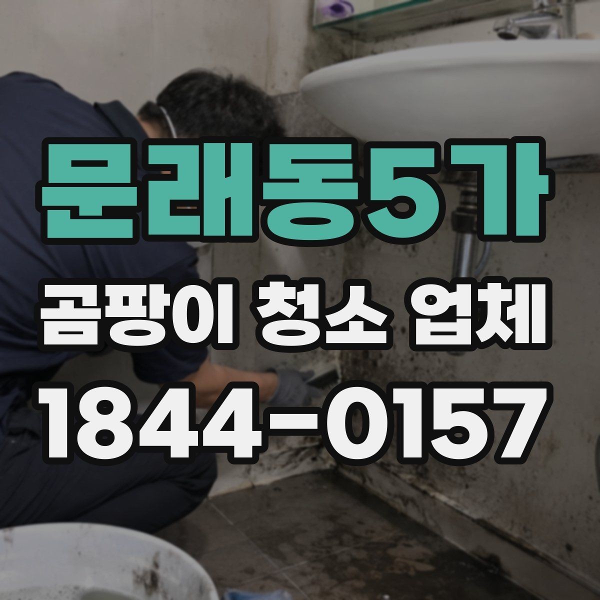문래동5가 곰팡이 청소 업체 의뢰가 많은 원룸과 아파트