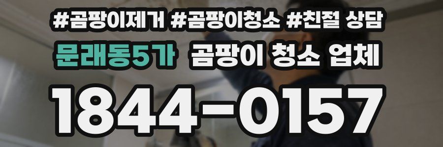 문래동5가 곰팡이 청소 업체