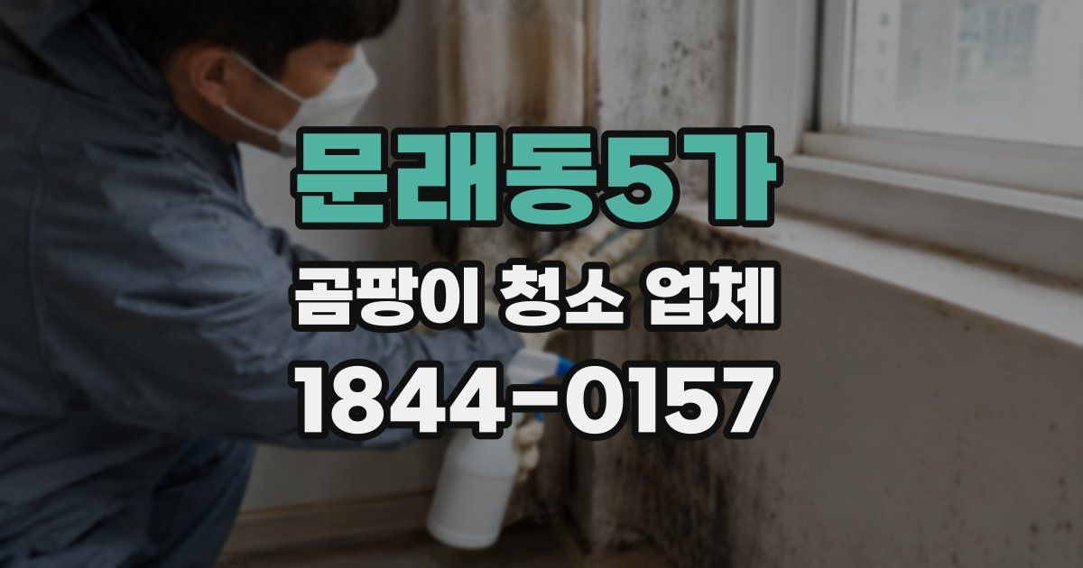 문래동5가 곰팡이 청소 업체
