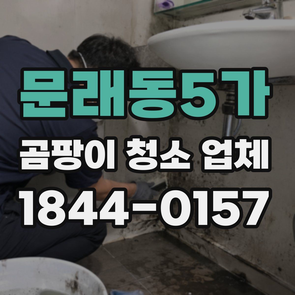 문래동5가 곰팡이 청소 업체