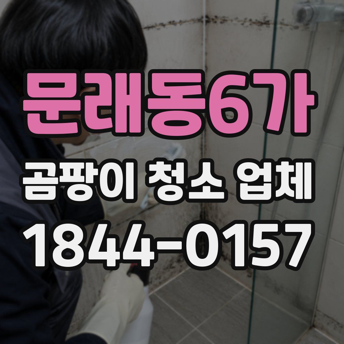 문래동6가 곰팡이 청소 업체
