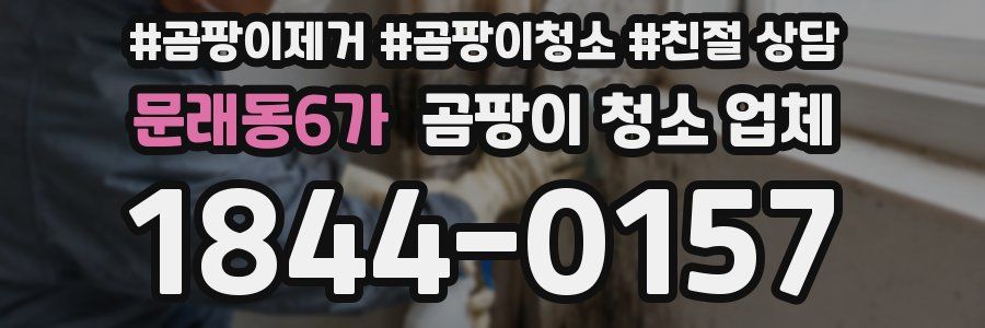 문래동6가 곰팡이 청소 업체