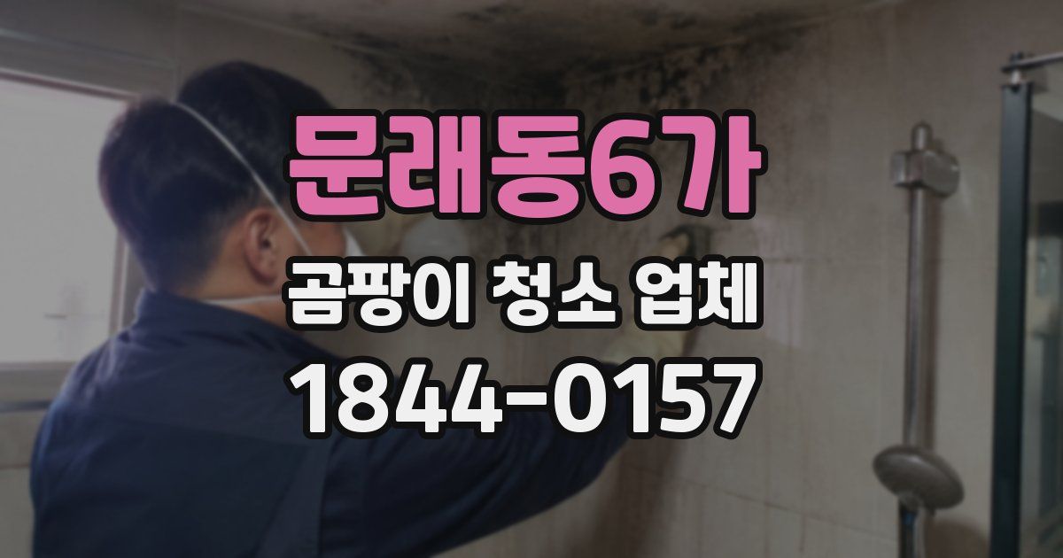 문래동6가 곰팡이 청소 업체