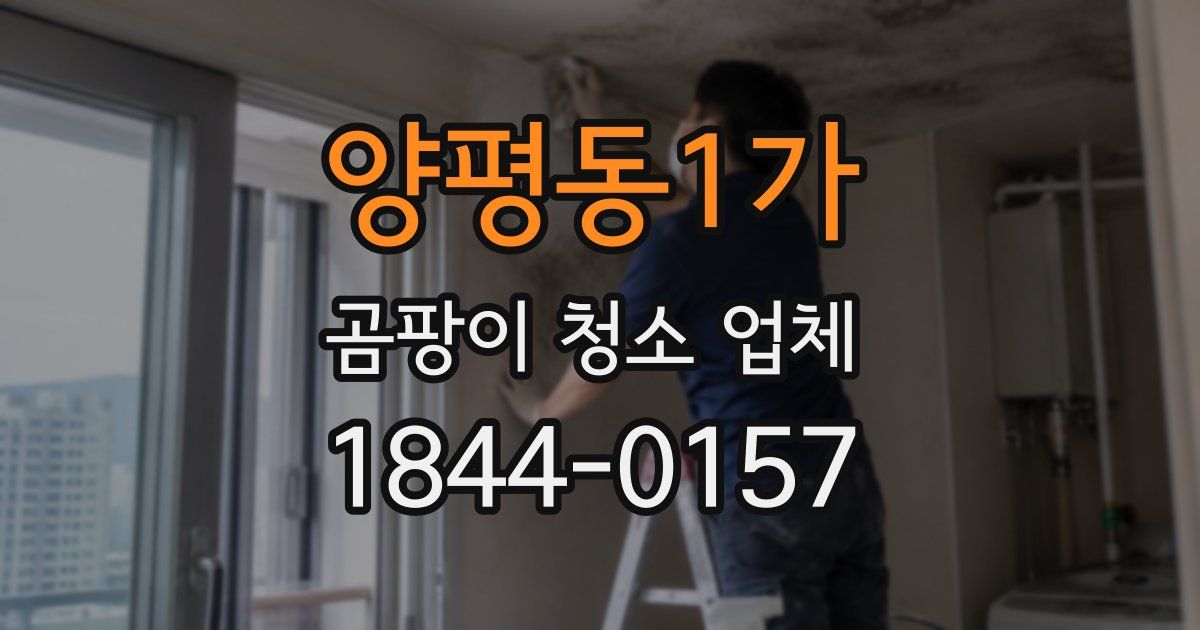 양평동1가 곰팡이 청소 업체