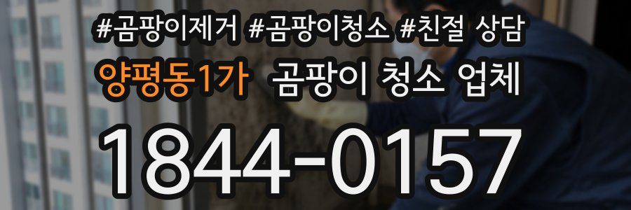 양평동1가 곰팡이 청소 업체