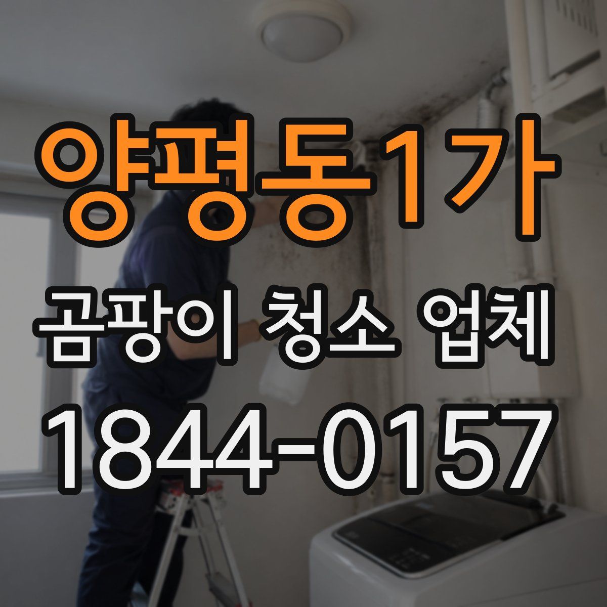 양평동1가 곰팡이 청소 업체