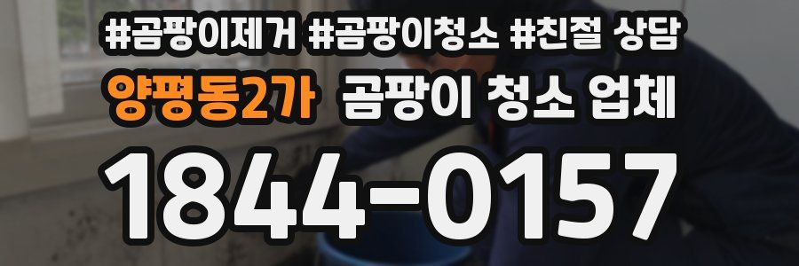 양평동2가 곰팡이 청소 업체
