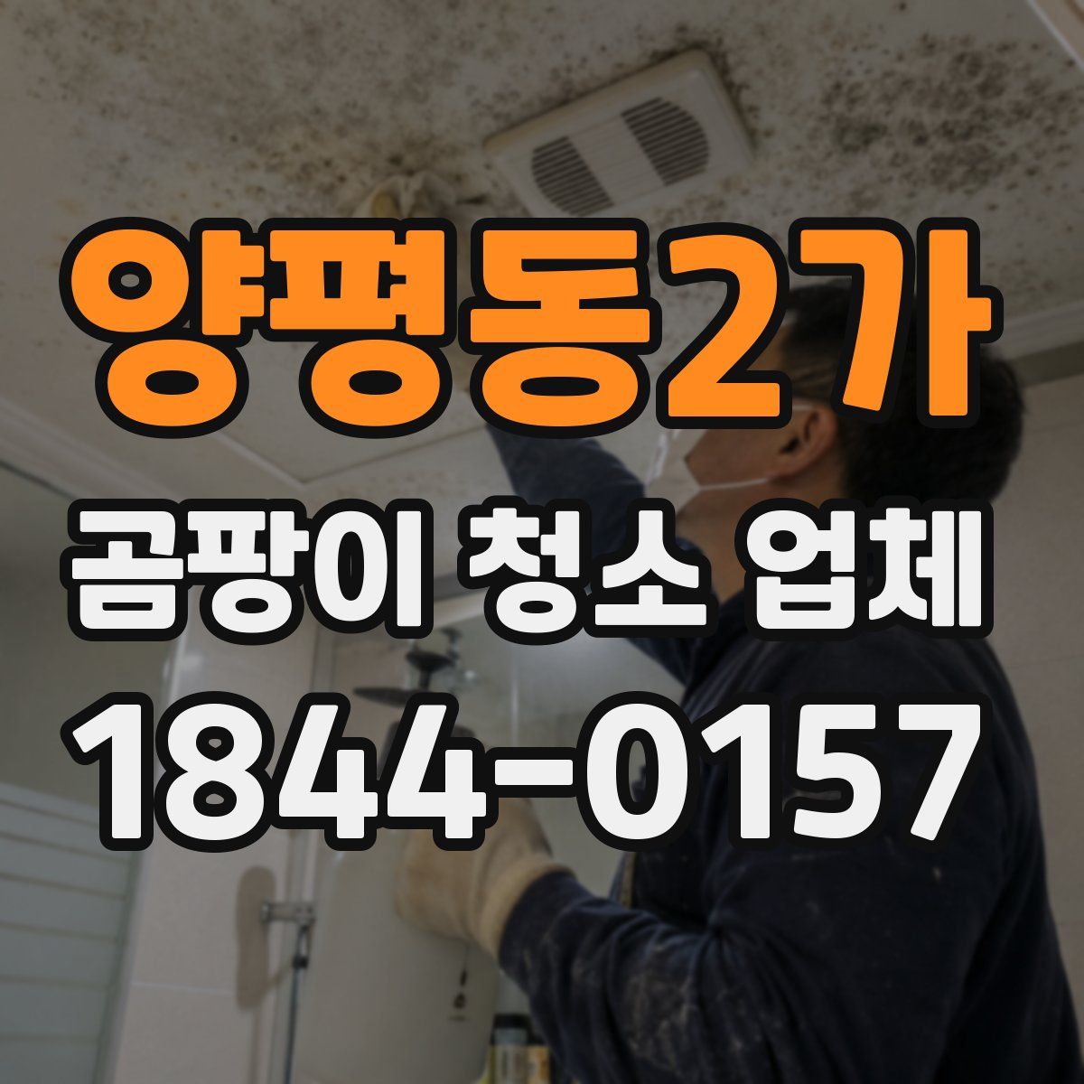 양평동2가 곰팡이 청소 업체