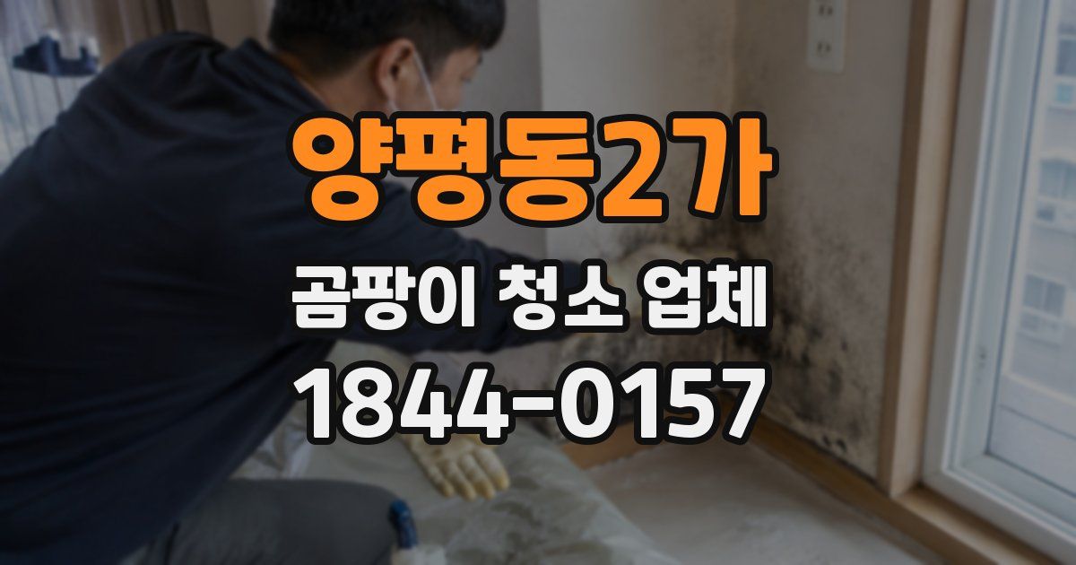 양평동2가 곰팡이 청소 업체