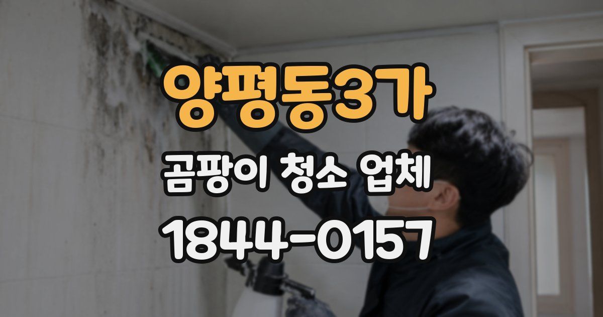 양평동3가 곰팡이 청소 업체